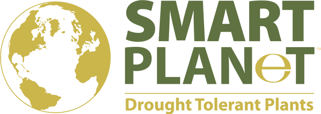 Smart Planet Drought-Tolerant Plants | Altman Plants