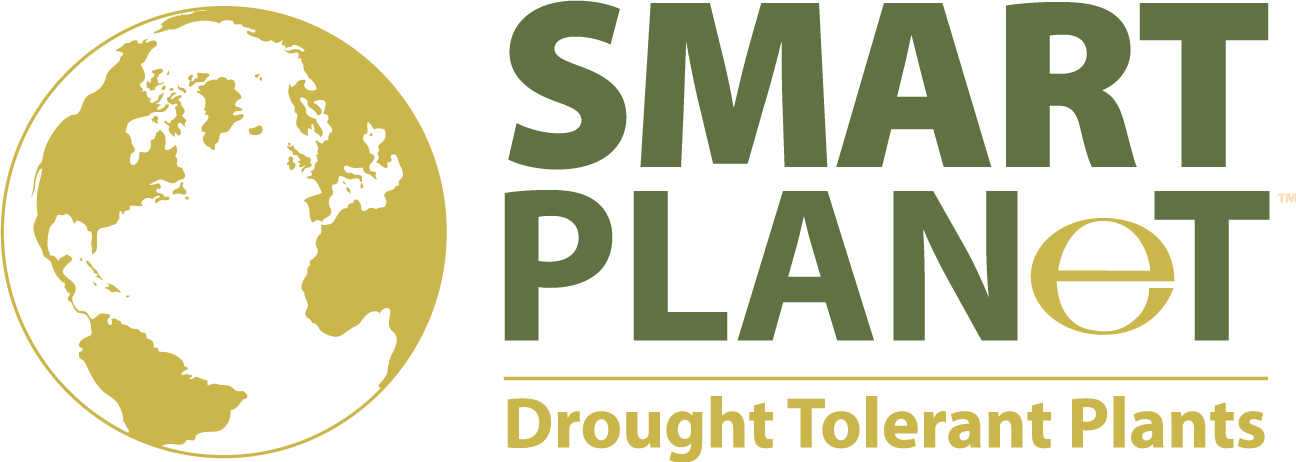 Smart Planet logo